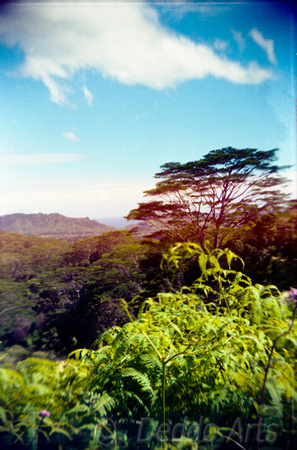 Kapa'a from Kuilau Ridge