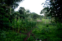 Zimbali View 07