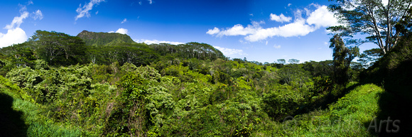 View from the Kuilau Trail 2