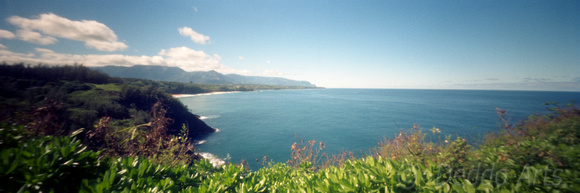 Napali from Kilauea Point