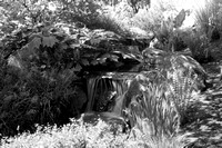 Botanical Waterfall