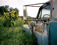 Truck and Sunflowers