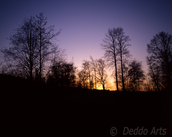 Sunset at Meadowbrook