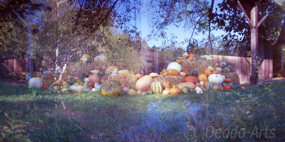 Fall Harvest Double Exposure
